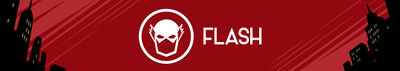 Flash.jpg