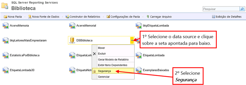 Arquivo:Reporting Services17.png